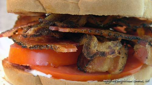 bacon tomato sandwich