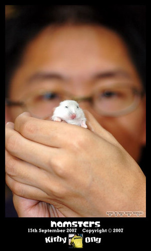 2007-09-15_baby_hamsters
