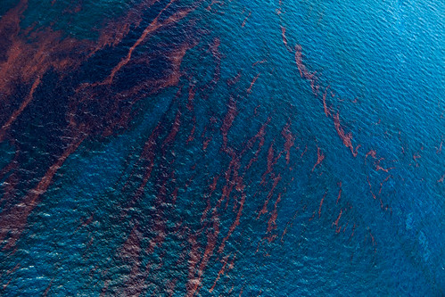 20100618-tedx-oil-spill-1171