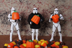 Stan, Steve, and Stu Pick Halloween Pumpkins to Carve