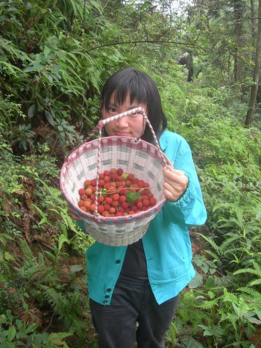 Holding a basket of bayberries