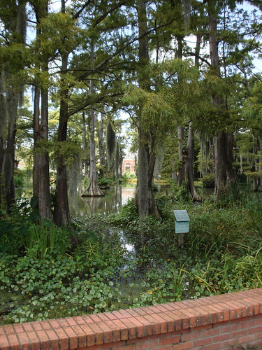 swamp on UL Lafayette campus