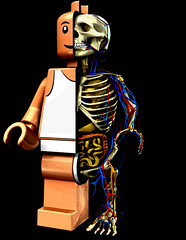 Anatomía de un Lego