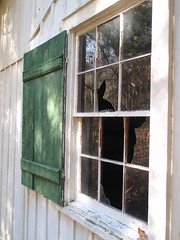 elkmont house window (1)