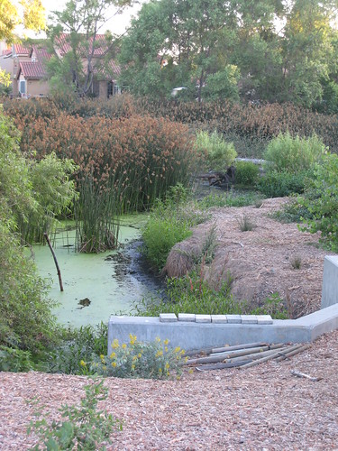 Sims Pond