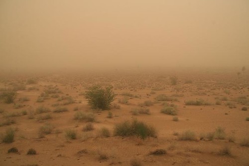 Une tempête de sable dans le désert