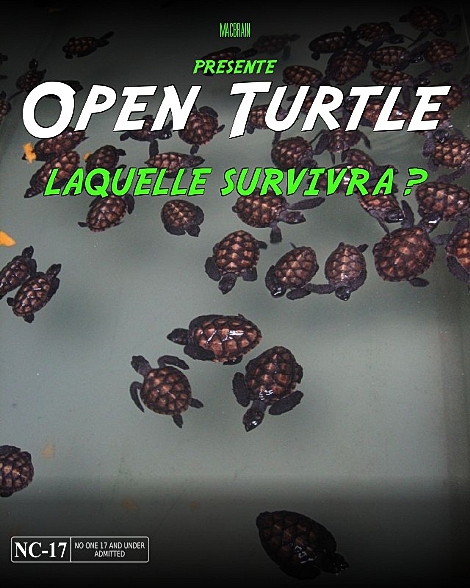 open turtle