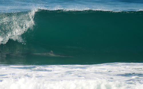 photo de surf 2501