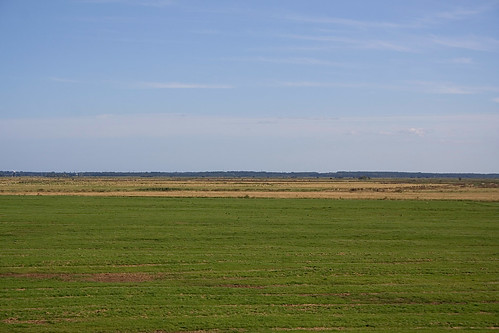 The Big Nothing - Halvergate Marshes 3