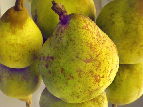 Pears by Harold Davis