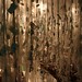 Impenetrable II. Inauguración de la exposición el Bosque Encapsulado de Ana Donat. Obra Social Caja Mediterrańeo