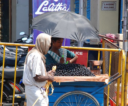 Jamun Fruit Seller
