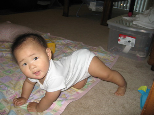 Trying to Crawl