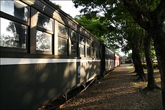 阿里山森林鐵路18