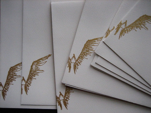 Icarus Set Envelopes 3