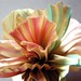 silk flower shibori