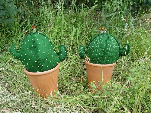 Kaktus-O-06