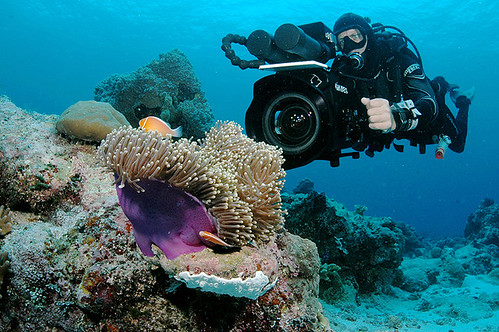 Filmando corales Palau