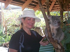 Kristal petting a sleepy Koala