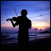Sunset violinist