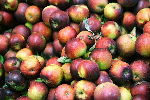 Arkansas Black Apples Close-Up
