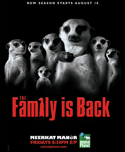 Meerkat Manor, Sopranos-like Ad Campaign by Animal Planet
