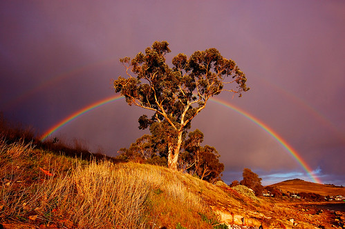 Rainbow through Gum tree by mick walters/Billy.