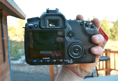 Canon 40D Back