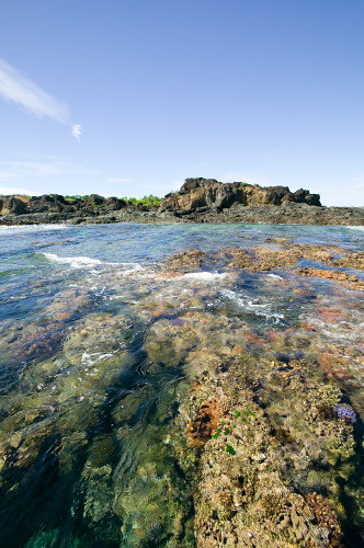 Tavewa Reef