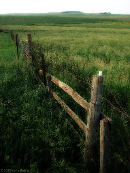 Fence at the Old Farm Place