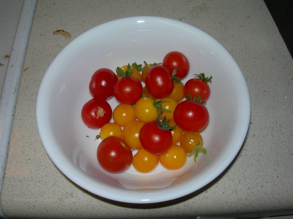 2007-08-11 Bowl of Tomatoes (1)