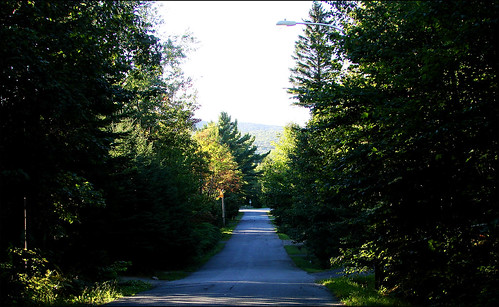 Nature-road