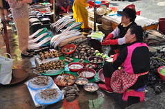 Jalgachi Seafood market 8