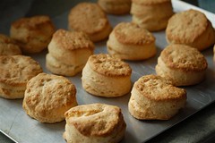 perfect homemade biscuits