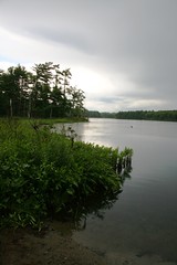 Baldbate pond