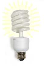 Compact Fluorescent Lamps -- a bright Idea!