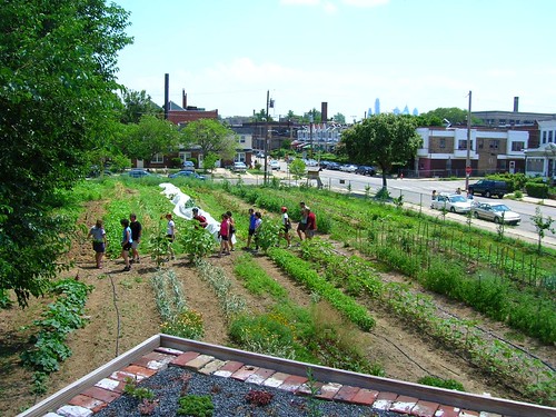 Urban Farm in Philadelphia