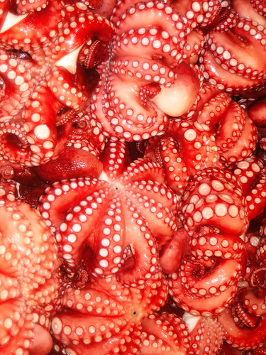 Tsukiji Octopus (Tako)
