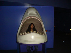 shark Mianna