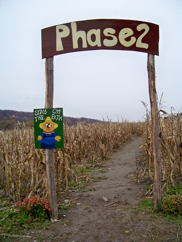 corn maize_entrance 2