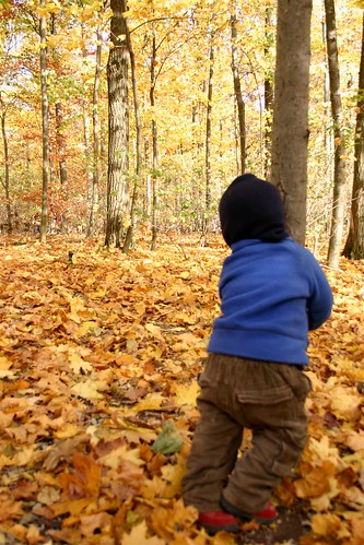 Herbst im Waldkindergarten VI
