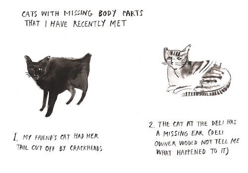 cats missing parts