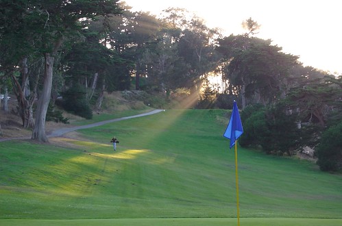 Sunbeam on the golf course
