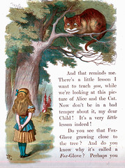 Cheshire Cat and Alice-1