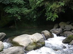 71.清澈的蓬萊溪水