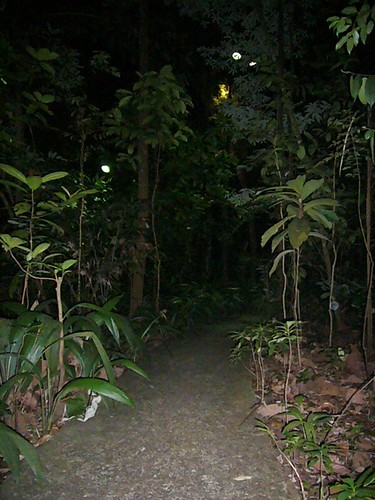 Night Safari Trail