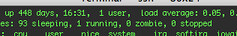 Server Uptime 448 Days & Counting
