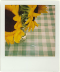Sunflowers - Mildred Pierce Restaurant - by Charlyn W