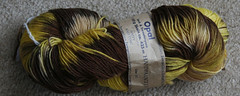 Opal Sock Yarn 073107