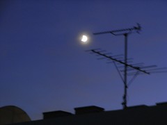 moonlight in Tokyo
